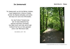 Im Sommerwald-Dauthendey.pdf